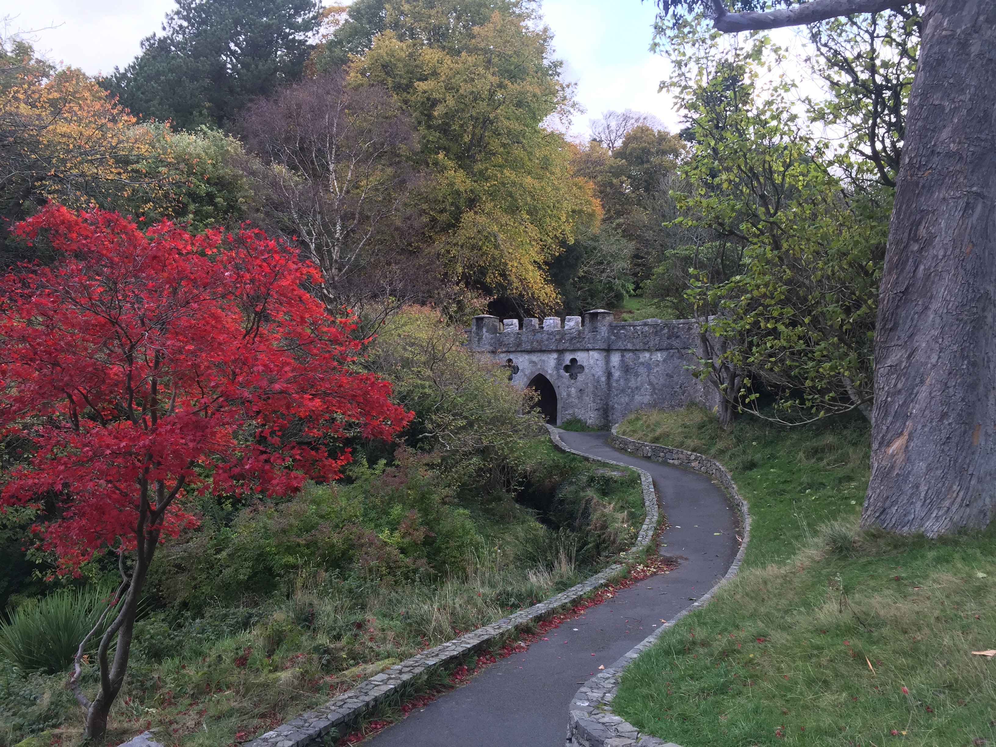 Northern Ireland Game of Thrones Filming Locations : The Haunted Forest : Tollymore Forest