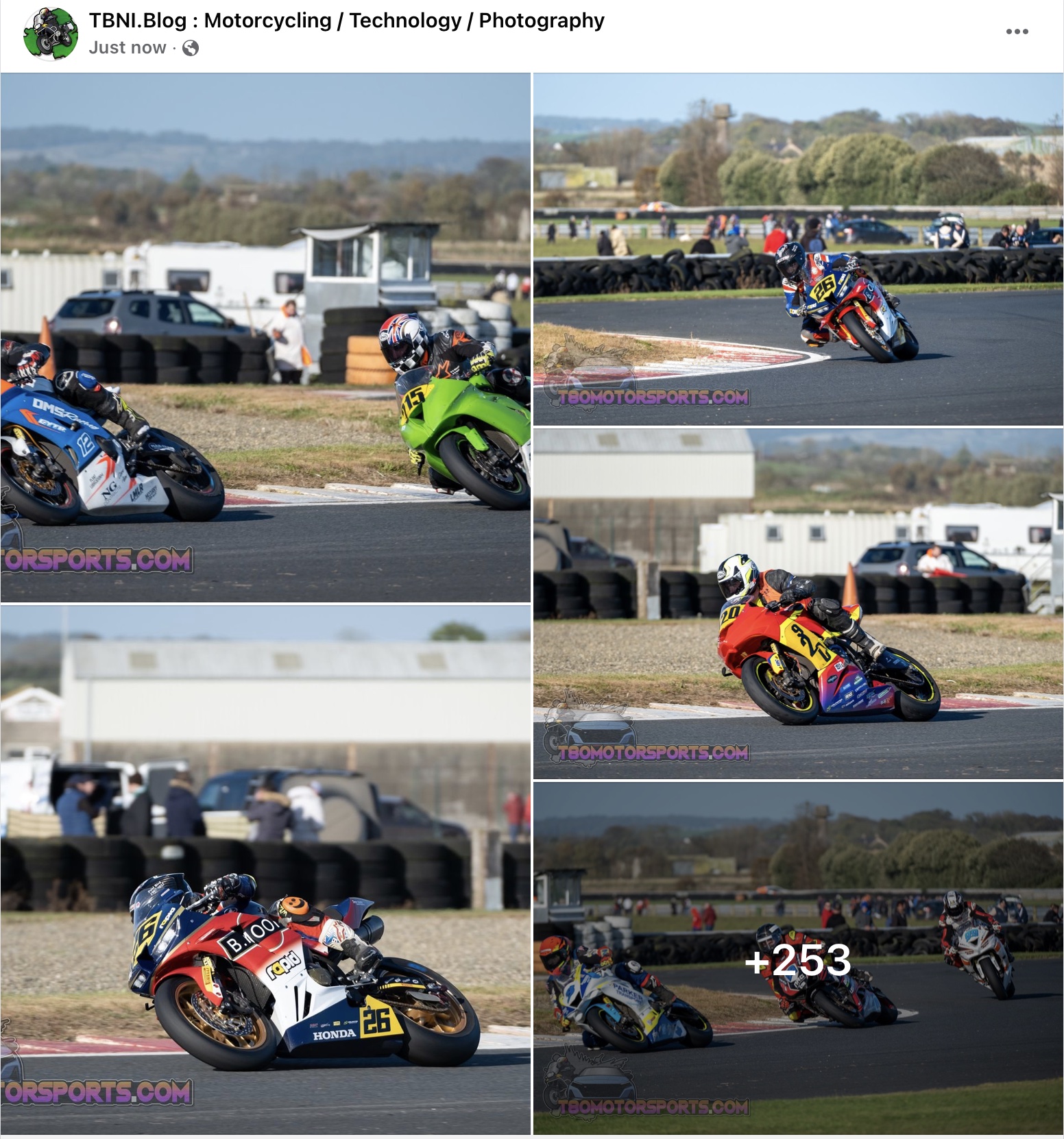 Screenshot 2024 Sunflower Trophy Gallery